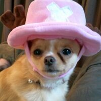 JUN2 (@jun2_tranquilo) Twitter profile photo