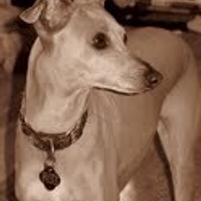 banaswch's profile image