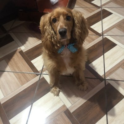mn19033543's profile picture. 