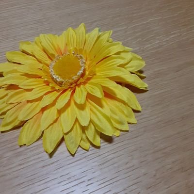 高月(仮)さんのプロフィール画像
