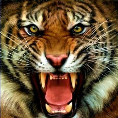 doncheezie's profile picture. Born on the 29th, 9LP Tiger. Knowledge is power
#GG33gold
#GG33member