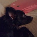 edwin fermin - @lagunero_fermin - Twitter