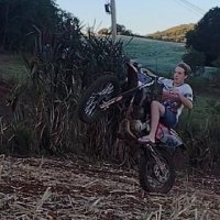 Pedro David Dal Molin Picinin (@davidpicinin) 's Twitter Profile