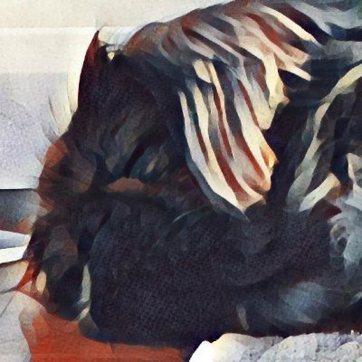 drgreenboys's profile picture. Discord: Dr. Greenboys#0001, 25/yo, spaceman by proxy, 🇨🇿/🇬🇧 , CEO/CVO/CTO