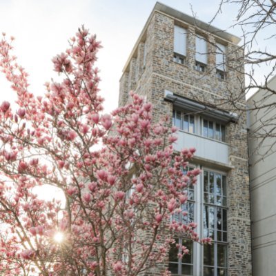 The Haynes Lab Profile