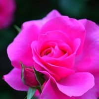 アントラ太郎 (@ms887700) Twitter profile photo