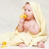 DaytimeQuacks Profile Picture