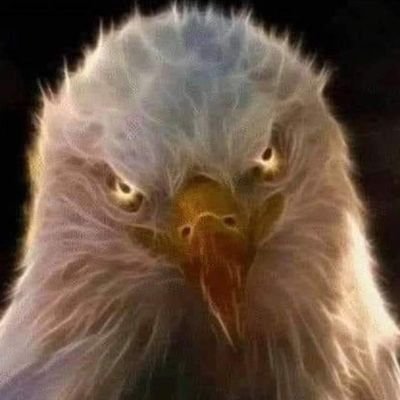 Servant of God, Patriarch of Family, Defender of our Constitutional Republic, protector of children,shepherd of animals, destroyer of evil