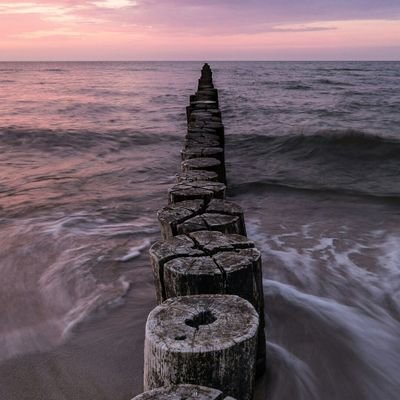 Astrologo1993's profile picture. soy chico bisexual con ganas de diversión sana