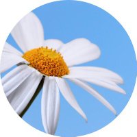 𝙰𝚘𝚘𝚖𝚖𝚢𝙿 (@aum_manlika) 's Twitter Profile Photo 𝙰𝚘𝚘𝚖𝚖𝚢𝙿 (@aum_manlika) 's Twitter Profile Photo