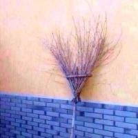 YorkshireTroll's profile picture. INFJ-A. 

In this world, there is nothing so hard as poverty, and yet, there is nothing condemned with such severity as the pursuit of wealth.
.
sapnu puas