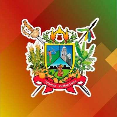 Cuenta oficial del Concejo Municipal Bolivariano de Valencia