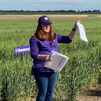 KSU Wheat Pathology (@ksuwheatdisease) 's Twitter Profile Photo KSU Wheat Pathology (@ksuwheatdisease) 's Twitter Profile Photo