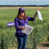 KSU Wheat Pathology(@KSUWheatDisease) 's Twitter Profile Photo