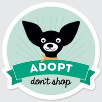 LancasterAnimalShelt(@AnimaLancaster) 's Twitter Profile Photo