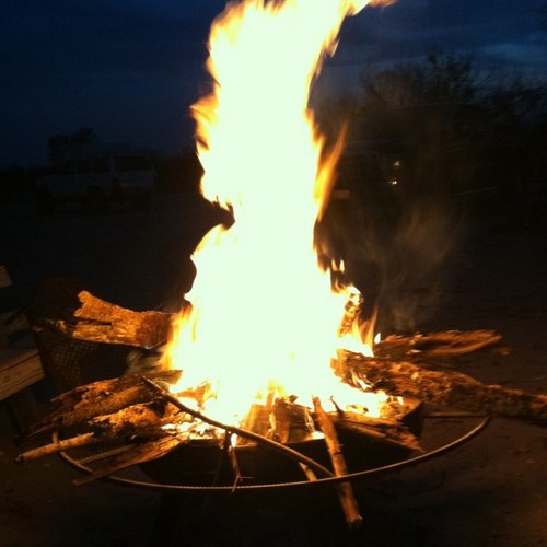 RWhittleman's profile picture. 