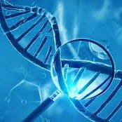 MEEG: Molecular Ecology and Evolution Group (@meeg_ecology) 's Twitter Profile Photo MEEG: Molecular Ecology and Evolution Group (@meeg_ecology) 's Twitter Profile Photo