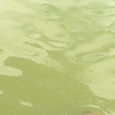 @WpdD26Ww9xRNrsh