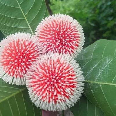 Ahtesha03672159's profile picture. Always try to do good things for others smile, then u will  get right  smile on your face