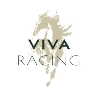 Viva Racing offers affordable horse racing syndications with quality horse trainers.