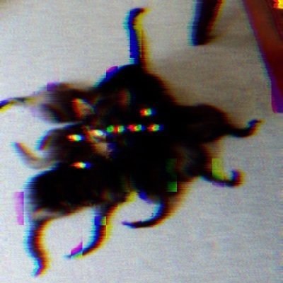 cryptidさんのプロフィール画像