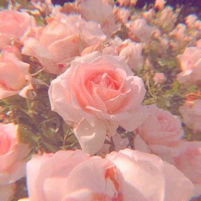 ♡wᴀɴɴᴀ∴oɴᴇ♡ w ᴀ ɴ ɴ ᴀ ʙ ʟ ᴇ💕
