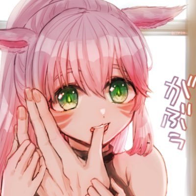 usamiqote Profile Picture