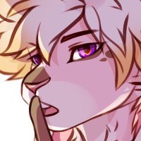Wit (@witjesforrealz) 's Twitter Profile
