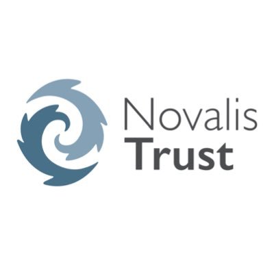 NovalisTrust Profile Picture