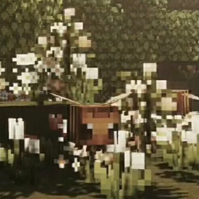 alexwoo83628659's profile picture. 