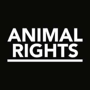 Met onthullende beelden, goed onderzoekswerk, sterke argumenten, levensreddende acties en krachtige petities is Animal Rights een ware stem voor de dieren.