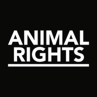 Animal Rights BE(@AnimalRightsBE) 's Twitter Profile Photo
