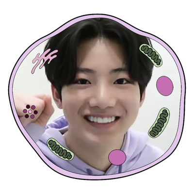 — membrane-bound yet messy personal archive of all things #트레저 . . . ♡