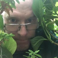 a phenomenal waste of everyone's time (@iamreddave) 's Twitter Profile Photo a phenomenal waste of everyone's time (@iamreddave) 's Twitter Profile Photo