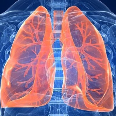 Respiratory Nurse Specialist & Research Nurse in the RD&E.
Exeter Respiratory Institute and the ERIC Unit - Embedding Research into Clinical Care
