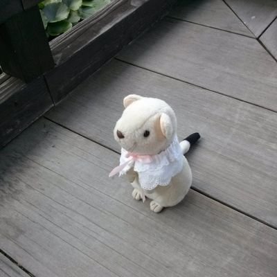 月が丘ゆゆ☽ろーかるさんのプロフィール画像