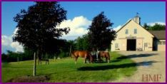 Located in Wolfeboro, NH. We offer riding lessons and run an eight week summer camp during July-August!
No one is too young or old to ride!