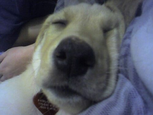 TXInsuranceGuy's profile picture. 