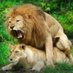 ابومدخل العباس لجميع الخدمات (@aeigc9i8fkvepzx) Twitter profile photo ابومدخل العباس لجميع الخدمات (@aeigc9i8fkvepzx) Twitter profile photo