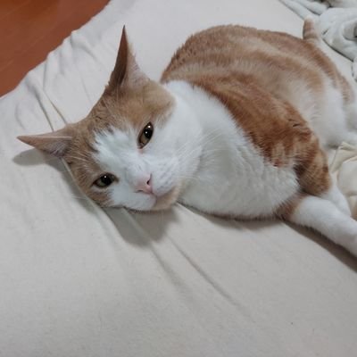 農学系。高専→国立大学(三年次編入)→修士・博士課程→退学して就職 大学院生活や就活についてのブログはこちら→https://t.co/aeUsxUOdbH
質問箱→https://t.co/iRGv2SuNHA