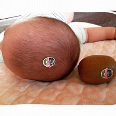 よろしく