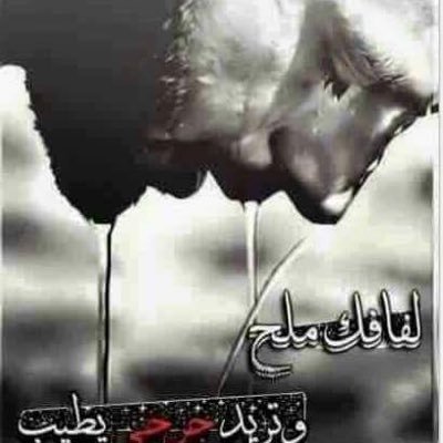 eeSMjs4T4DQX3EE's profile picture. 🤩