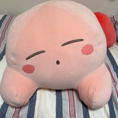 syuterun3771's profile picture. ぬいぐるみに囲まれたいです