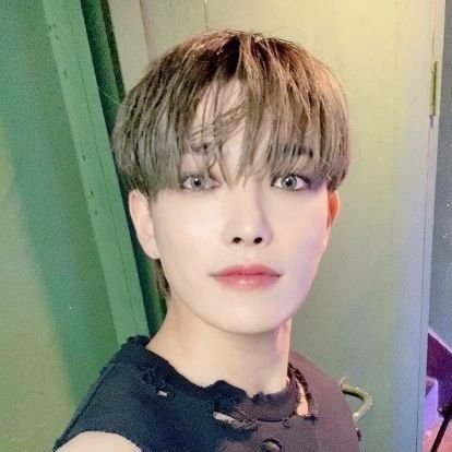 hongitboy Profile Picture