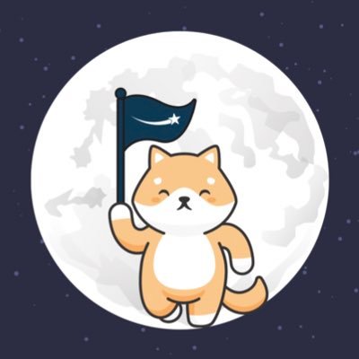 babydogestars's profile picture. THE NEXT RISING STARS TOKEN