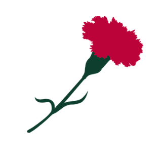 red_carnation Profile Picture
