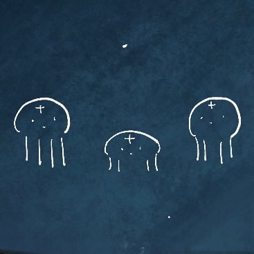 tocaさんのプロフィール画像