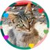 fipli sokak canı Pakize (@fippakize) Twitter profile photo fipli sokak canı Pakize (@fippakize) Twitter profile photo