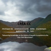 CRÉA_CC (@crea_cc) 's Twitter Profile Photo CRÉA_CC (@crea_cc) 's Twitter Profile Photo