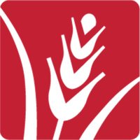 The Greater Boston Food Bank (@gr8bosfoodbank) 's Twitter Profile